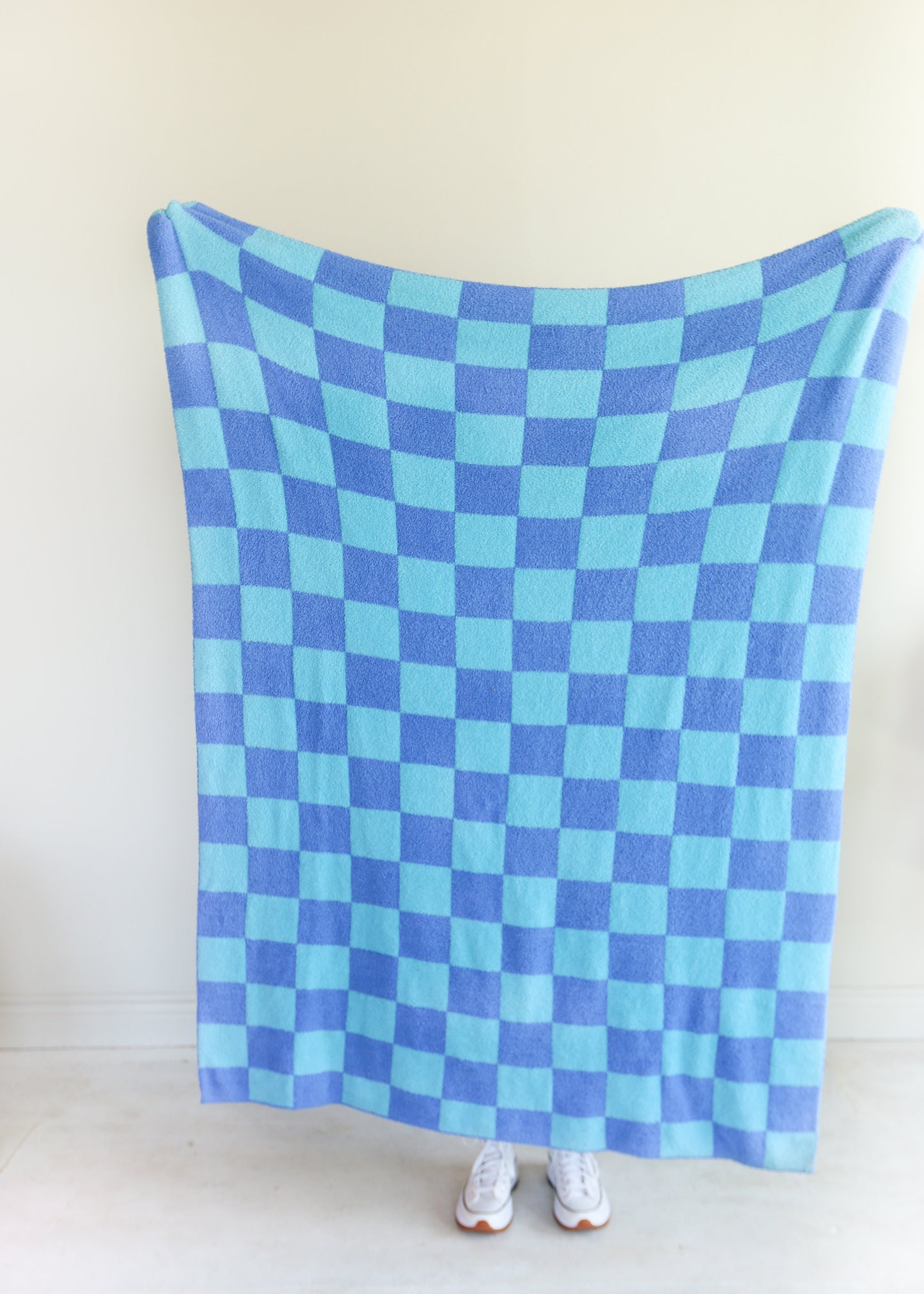 Blue Checkered Blanket